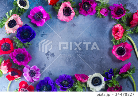 Anemones flowers on stone background Anemones flowers on stone background 34478827