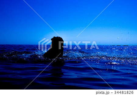 A mermaid emerges from the sea (13) 34481826
