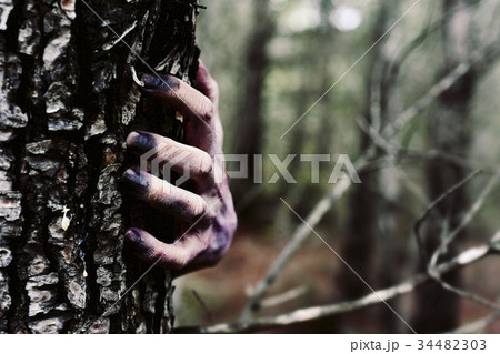 zombie or monster hiding behind a tree zombie or monster hiding behind a tree 34482303