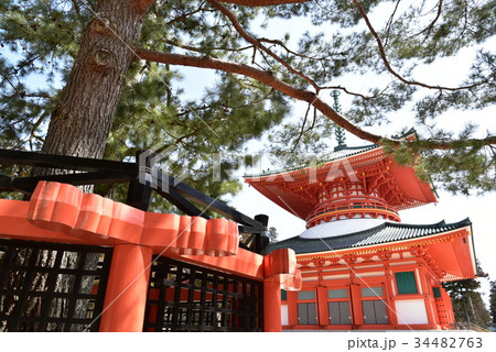 高野山 三鈷の松と根本大塔 高野山 三鈷の松と根本大塔 34482763