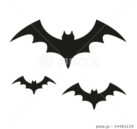 Bat black silhouette icon. Isolated on white 34483159