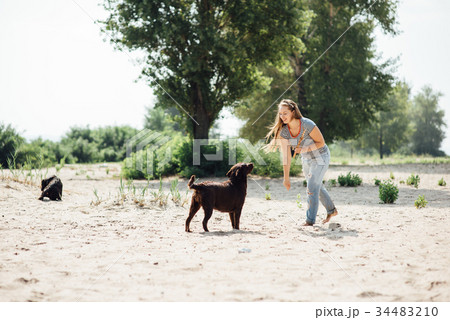beautiful girl is playing with brown labradors 34483210