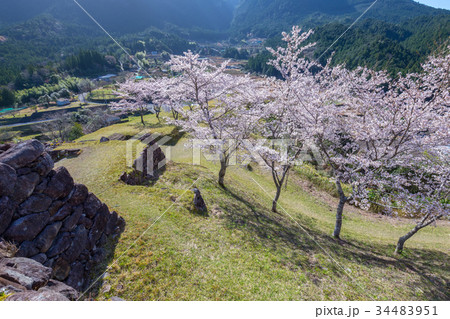 春の赤木城跡 春の赤木城跡 34483951