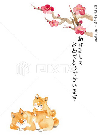犬2匹 梅の花 はがきのイラスト素材