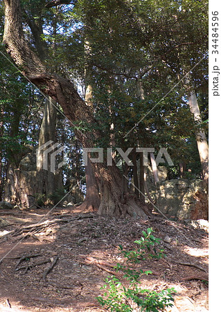 天白磐座遺跡　渭伊神社 34484596