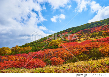 銀泉台 赤岳登山道から見る紅葉 銀泉台 赤岳登山道から見る紅葉 34484798