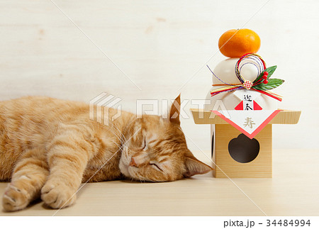 猫と鏡餅 34484994