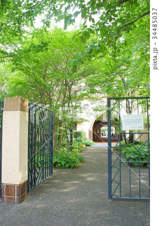 静かな代官山の庭園１ 34485037