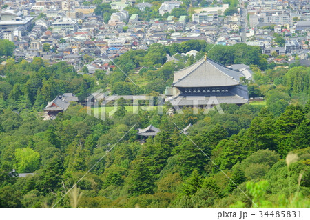 若草山から見下ろす東大寺3 若草山から見下ろす東大寺3 34485831