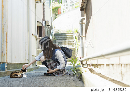 女子高生 猫 登下校の写真素材