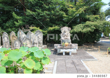 喜光寺石仏と蓮 喜光寺石仏と蓮 34486987