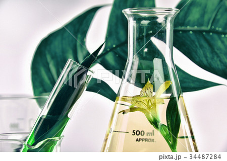 Natural organic extraction and green herbal leave Natural organic extraction and green herbal leave 34487284