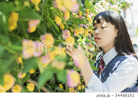 女子高生 花 ポートレートの写真素材