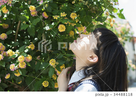 女子高生 花 ポートレートの写真素材