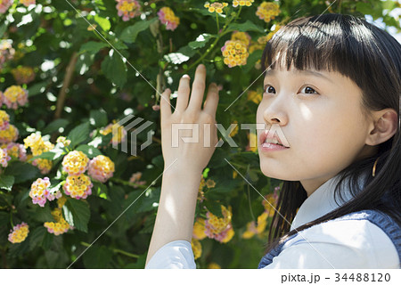 女子高生 花 ポートレートの写真素材 3441