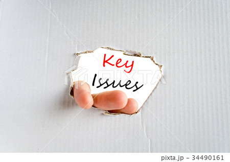 Key issues Text Concept 34490161
