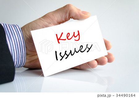 Key issues Text Concept 34490164