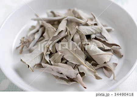ホワイトセージの乾燥葉 34490418