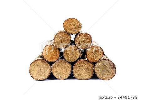 Birch firewoods stack isolated 34491738