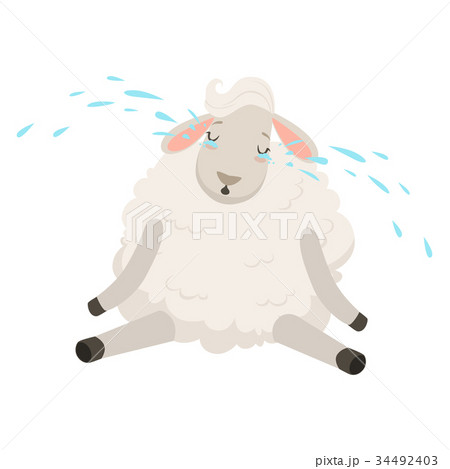 Cute sad white sheep character crying, funny 34492403