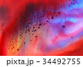 Abstract Bubbles Macro 34492755