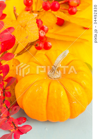 pumpkins on blue table 34492830