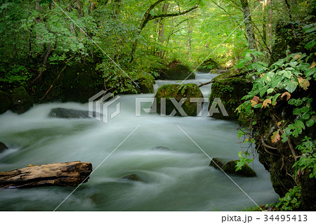 奥入瀬渓流 - 阿修羅の流れ 34495413