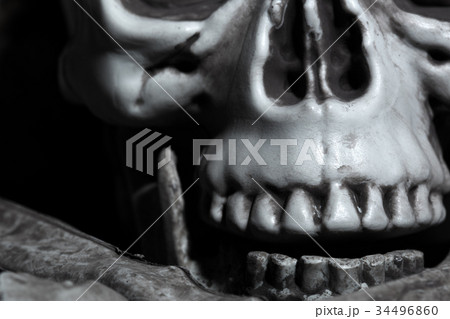 Close-up view of the human skull Close-up view of the human skull 34496860