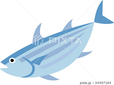 和食材シリーズ　カツオ 34497164