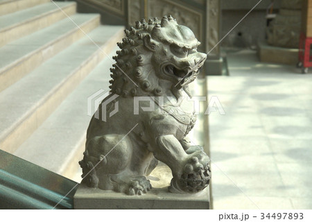 こま犬 寺 寺院 34497893