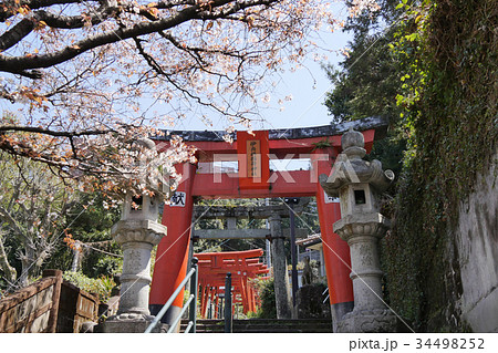 鳥居 34498252