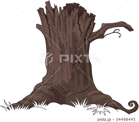 Tree Stump 34498445
