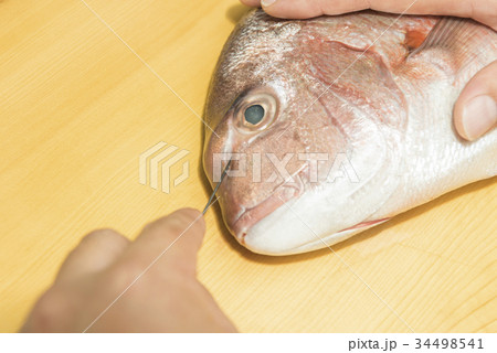 真鯛を締める 34498541