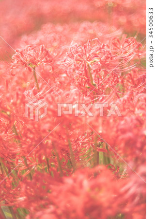 一言主神社 34500633