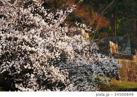 苗木城跡 34500849