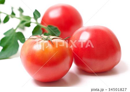トマト トマト 34501827