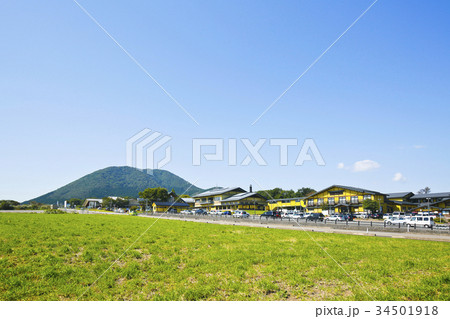 薬来山　加美町 34501918