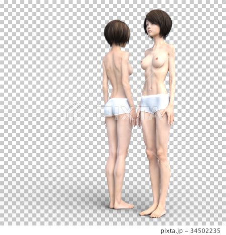 Female dissection muscle 3DCG illustration material 34502235