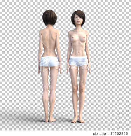 Female dissection muscle 3DCG illustration material 34502236