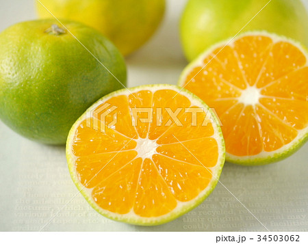 極早生みかん　カットバージョン　（横位置アップ） 34503062