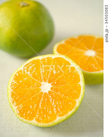 極早生みかん　カットバージョン　（ハイアングル） 34503065