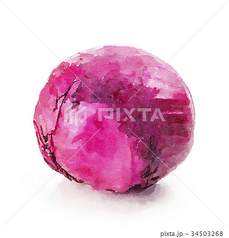 紫キャベツ_水彩画風 34503268