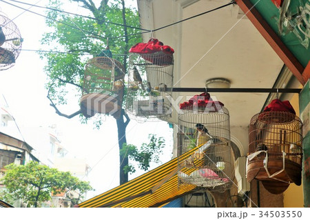 ベトナム　ハノイ旧市街　鳥かご 34503550