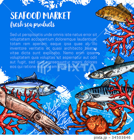 Vector poster for seafood or fish food market Vector poster for seafood or fish food market 34503646