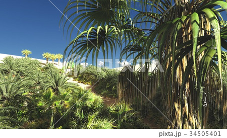 Lavish spectacular plants on wasteland later in 34505401