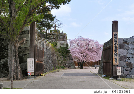 佐賀城本丸歴史館西門 34505661