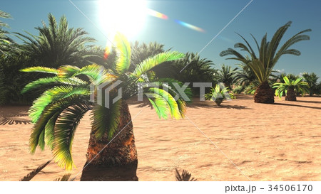 Lavish spectacular plants on wasteland later in Lavish spectacular plants on wasteland later in 34506170