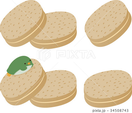 ダックワーズとペンギン 34508743