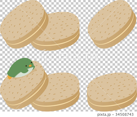 ダックワーズとペンギン 34508743