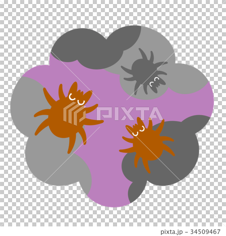 Tick and dust 34509467